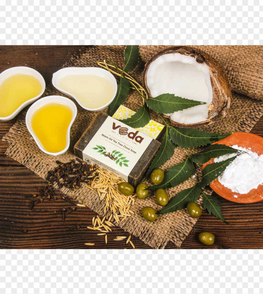 Neem Superfood Ingredient PNG