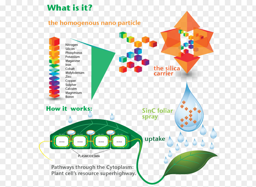 Photosynthetic Efficiency Foliar Feeding Horticulture Agriculture Forestry Industry PNG