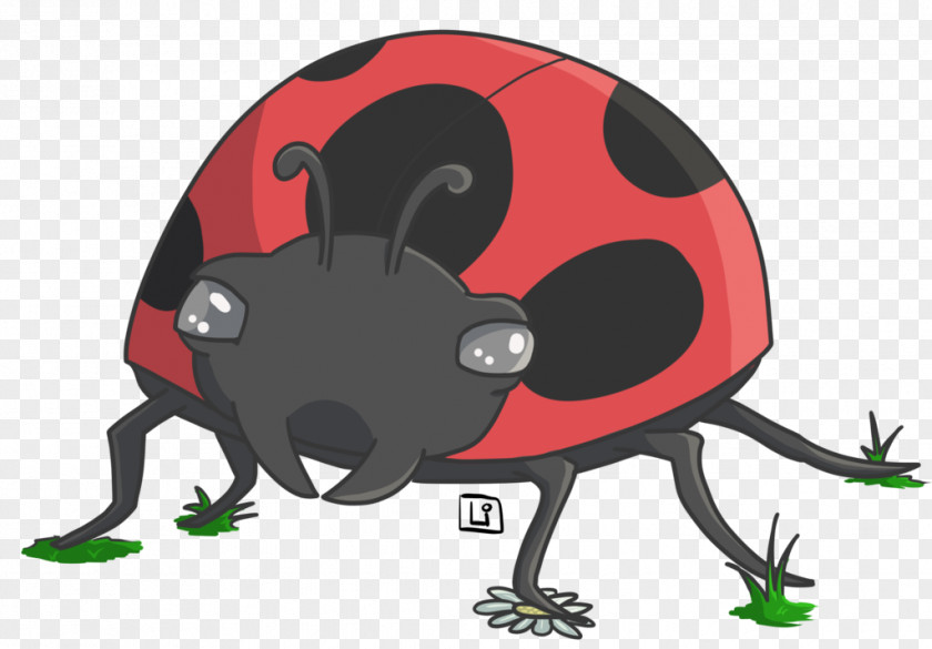 Beetle Ladybird Pest Clip Art PNG