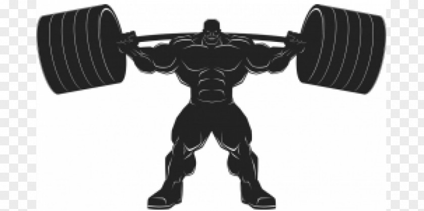 Bodybuilding Barbell Olympic Weightlifting Fitness Centre PNG
