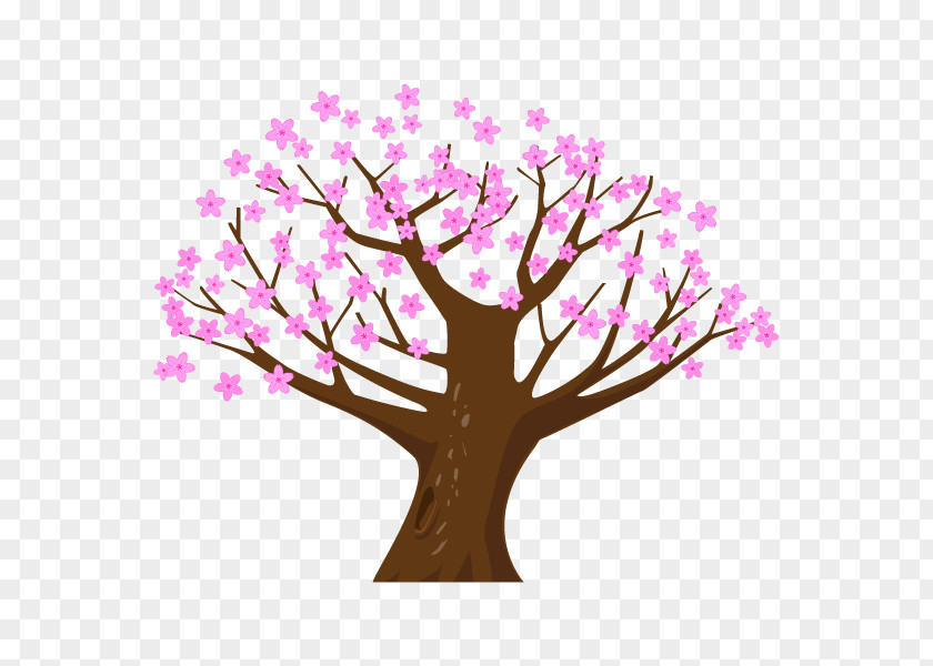 Cherry Blossom Illustration Tree Clip Art Branch PNG
