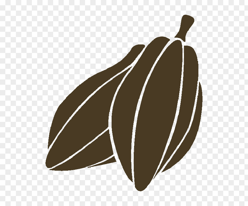 Chocolate Cocoa Bean Theobroma Cacao PNG