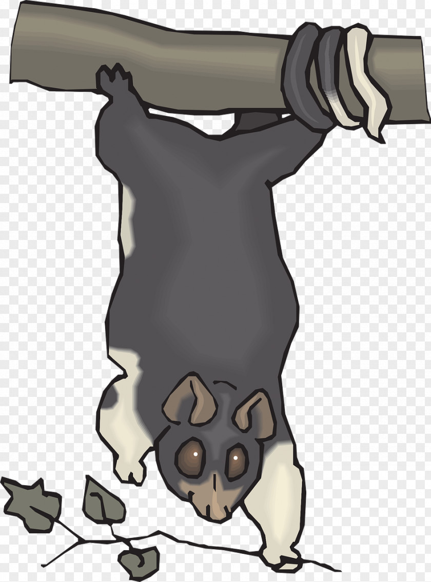 Grey Koala Dog Clip Art PNG