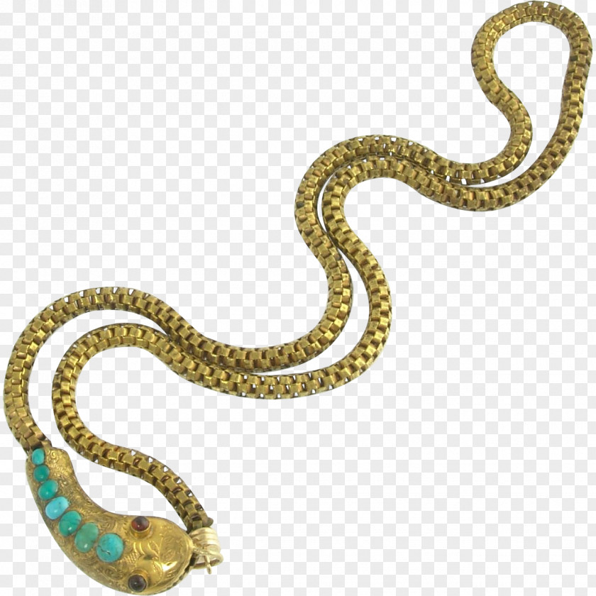 Snake Body Jewellery Necklace Clothing Accessories Chain PNG