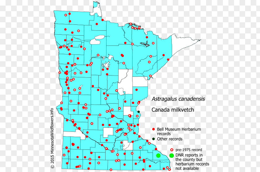 Wildflowers Minnesota Hemlock Swamp Milkweed Reed Canary Grass Map PNG