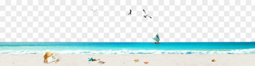 Beach Ocean Background Download Computer File PNG