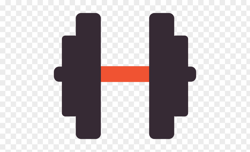 Dumbbell Physical Fitness Barbell Exercise PNG