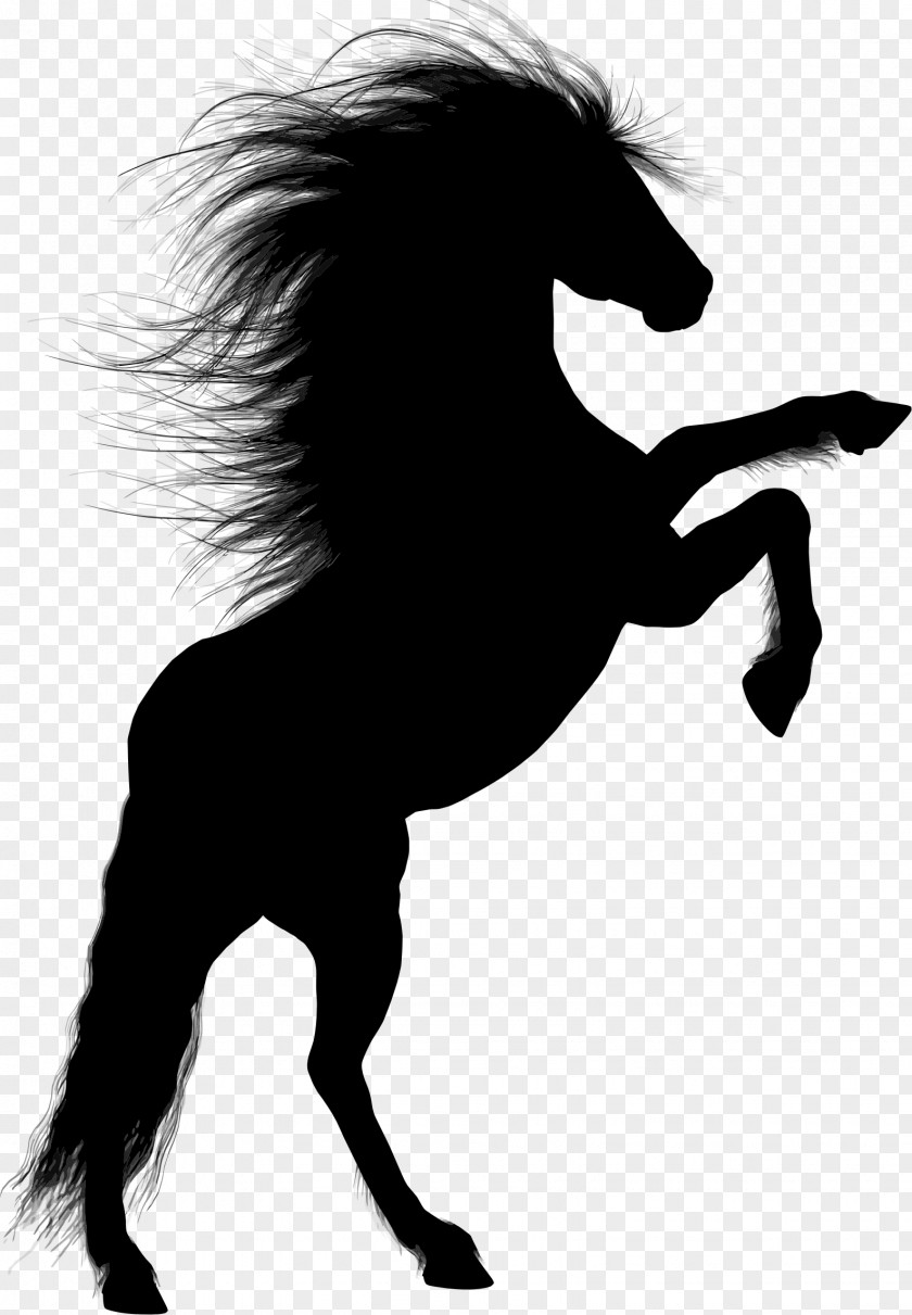 Horse Stallion Rearing Silhouette PNG