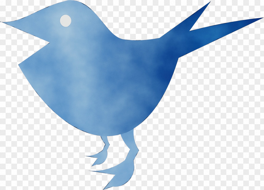 Songbird Perching Bird Beak Clip Art Wing PNG