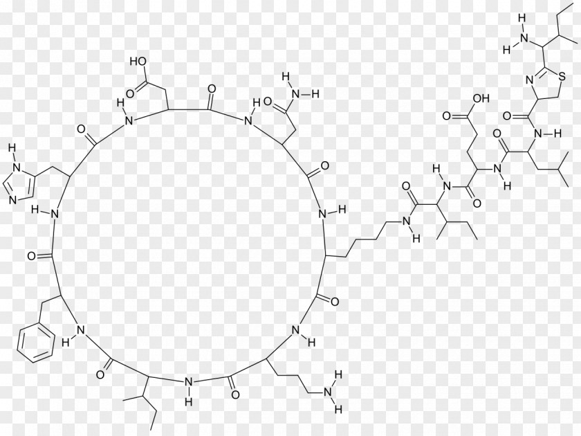 Subtilis Bacitracin/polymyxin B Antibiotics Polypeptide Antibiotic Neomycin/polymyxin B/bacitracin PNG