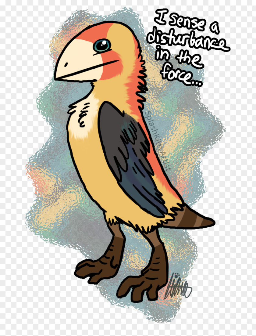 Bird Beak Drawing Coloring Book Puffin PNG