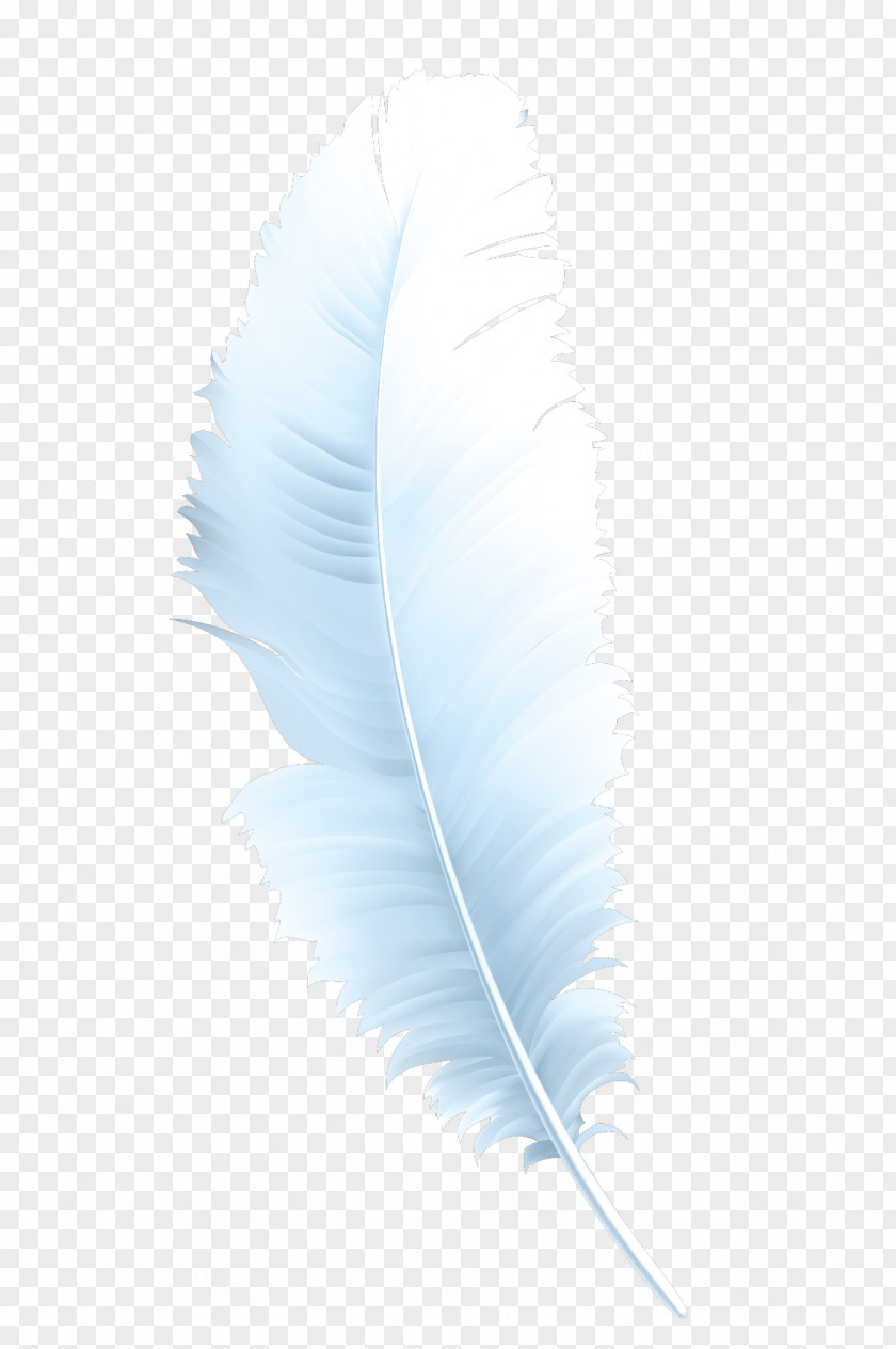 Creative Writing Feathers Feather Microsoft Azure PNG
