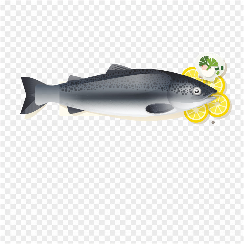 Flat Fish Sliced Soup Fried Herring Illustration PNG