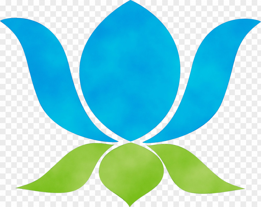 Plant Symmetry Turquoise Aqua Green Leaf Clip Art PNG