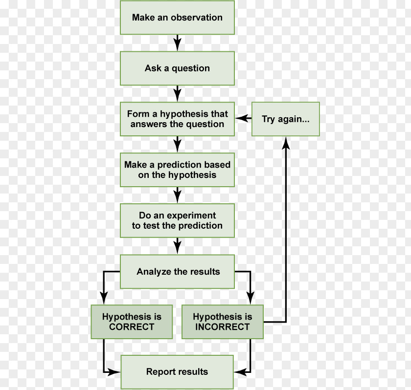 Step Flow Chart Scientific Method Science Research Biology Psychology PNG