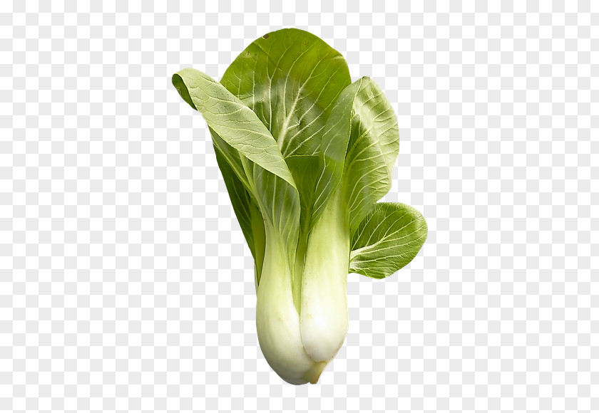 Yu Choy Shanghai Bok Chard Chinese Cabbage Vegetable Cauliflower PNG