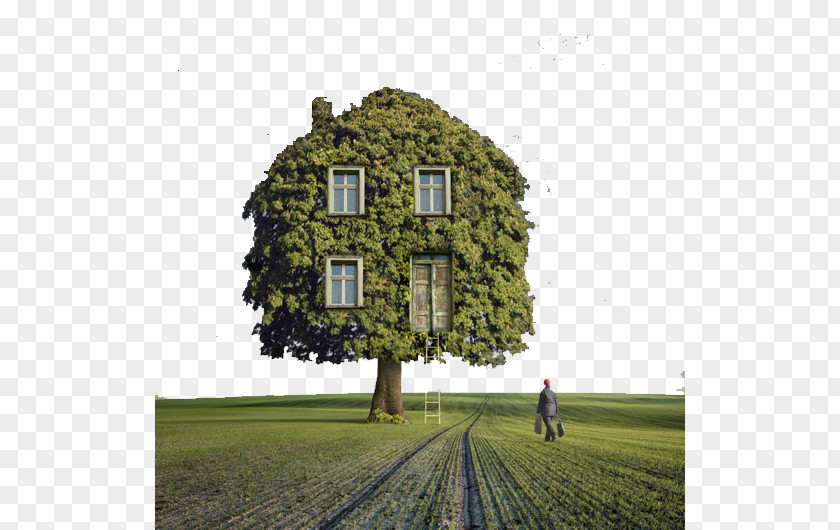 Creative Cabin Tree House Surrealism Photography PNG