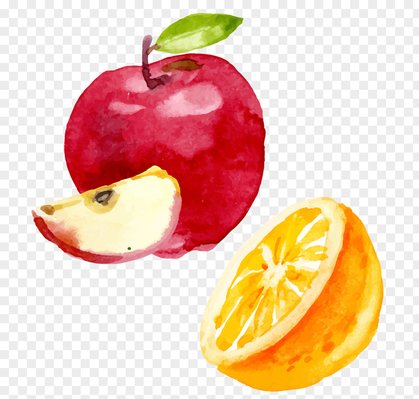 Drawing Vector Apples And Oranges Combination Orange Juice PNG