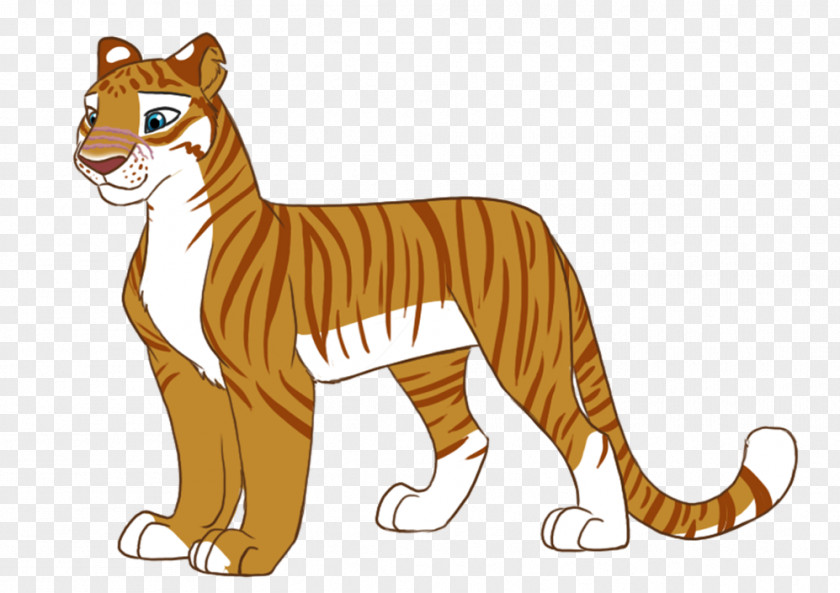 Lion Whiskers Tiger Cat Clip Art PNG