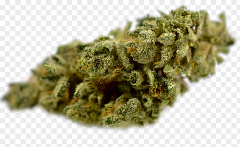 Weed Cannabis Cup Drug Medical Kush PNG