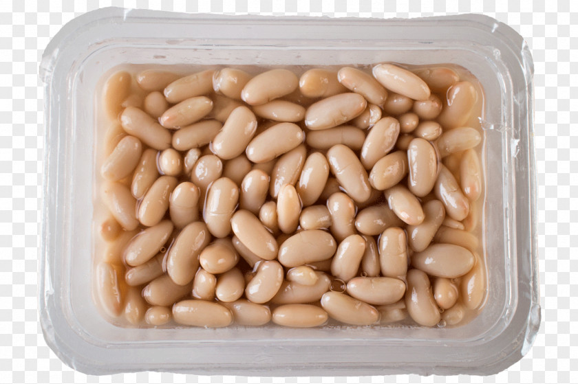 Cannel Peanut Commodity Common Bean PNG