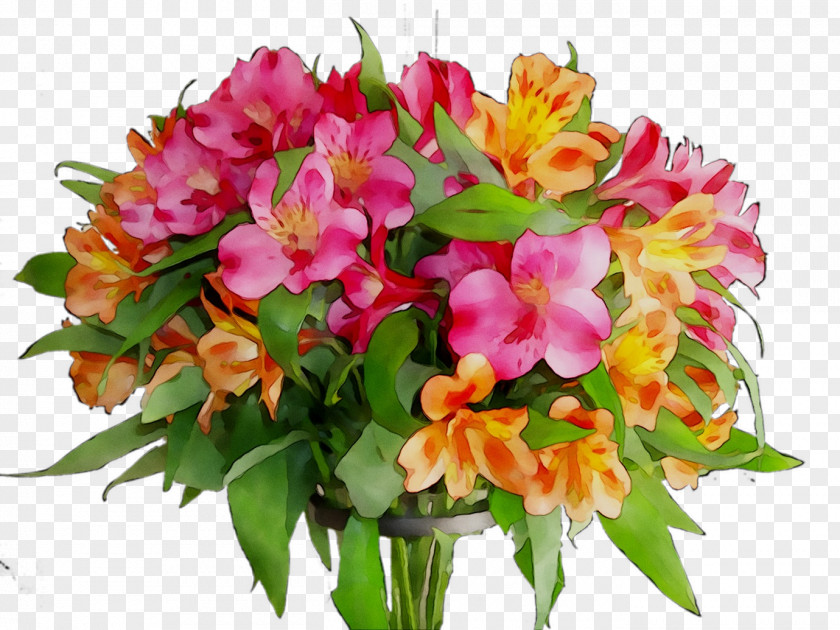 Cut Flowers Floral Design Flower Bouquet Plants PNG