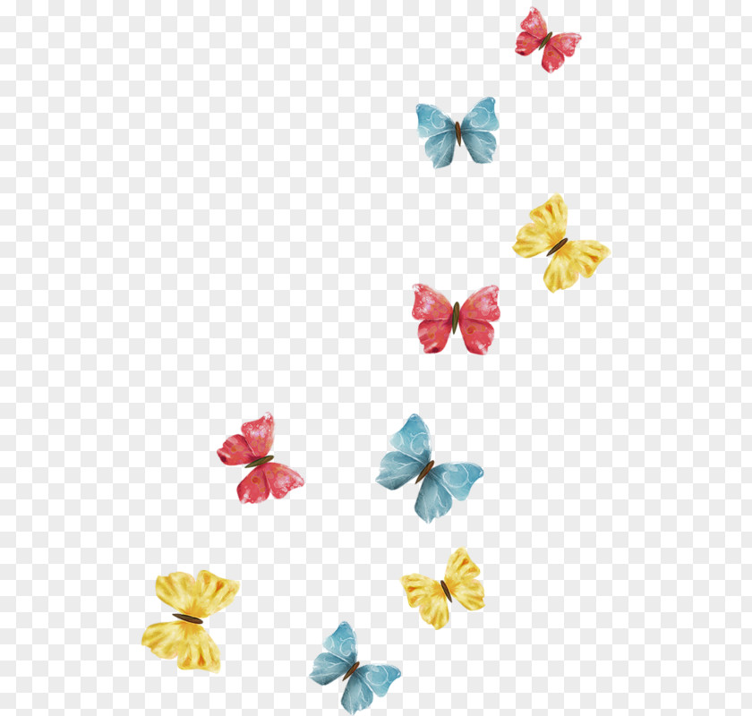 Flower Borboleta Petal Theme PNG