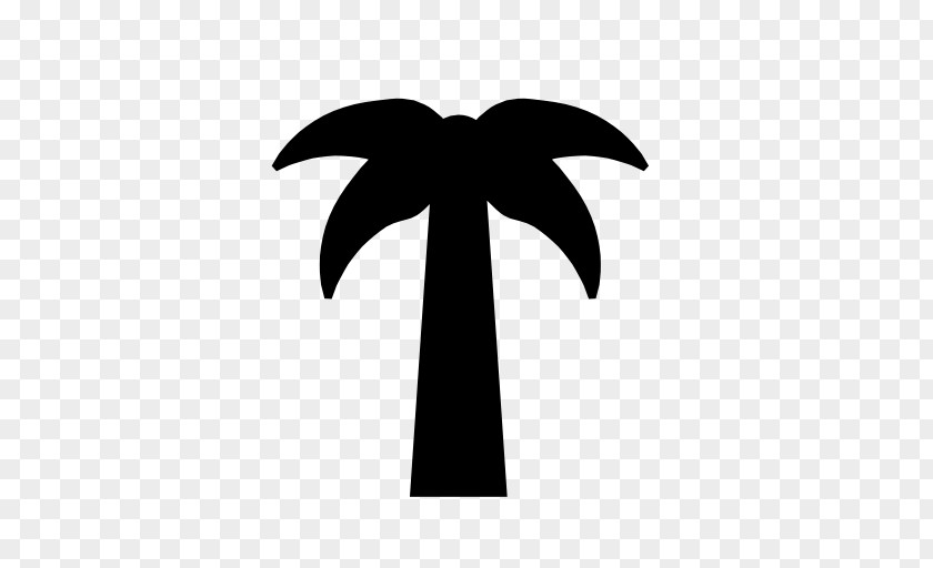 Palm Icon Clip Art PNG