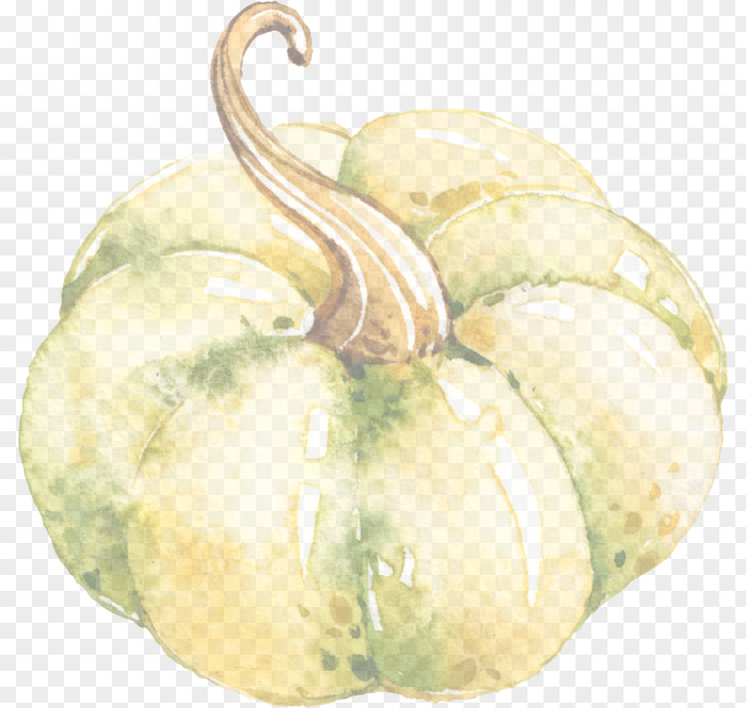 Pumpkin Fruit PNG