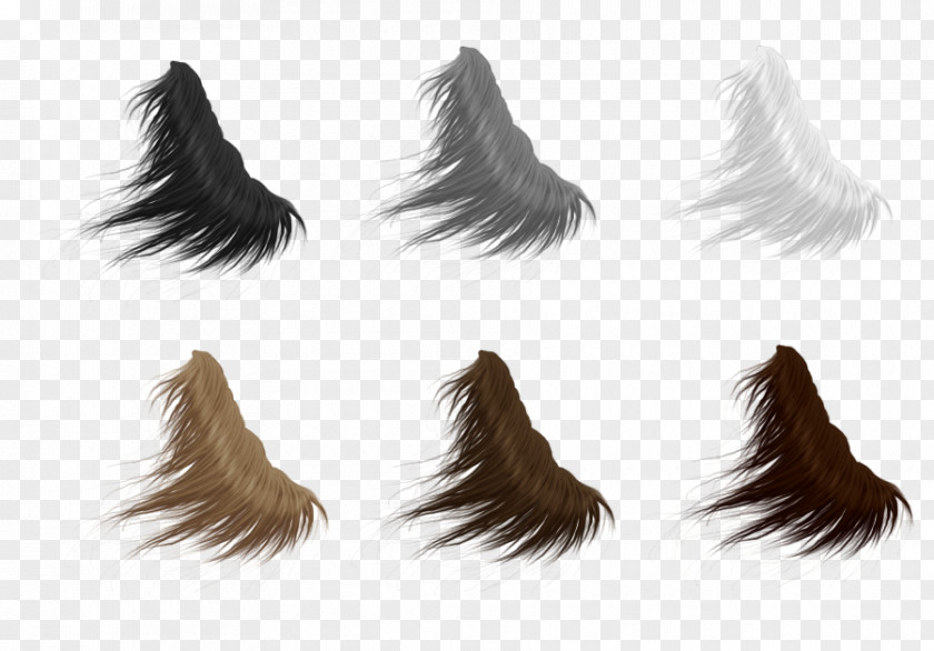 American Paint Horse Mane Tail Feather PNG