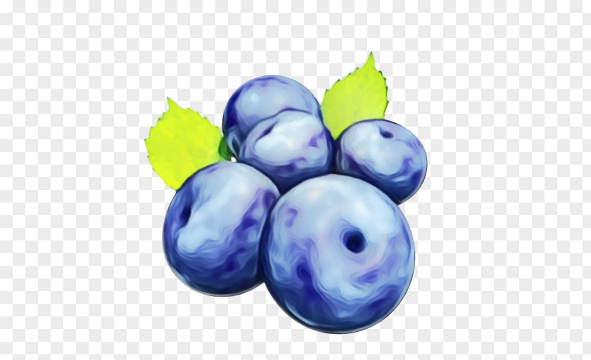 Grape Vitis European Plum Fruit Blueberry Berry Plant PNG