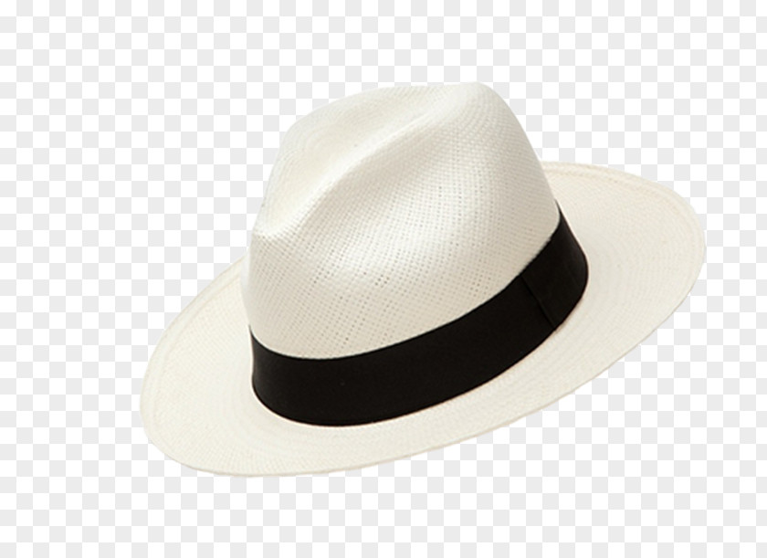 La Dolce Vita Fedora PNG