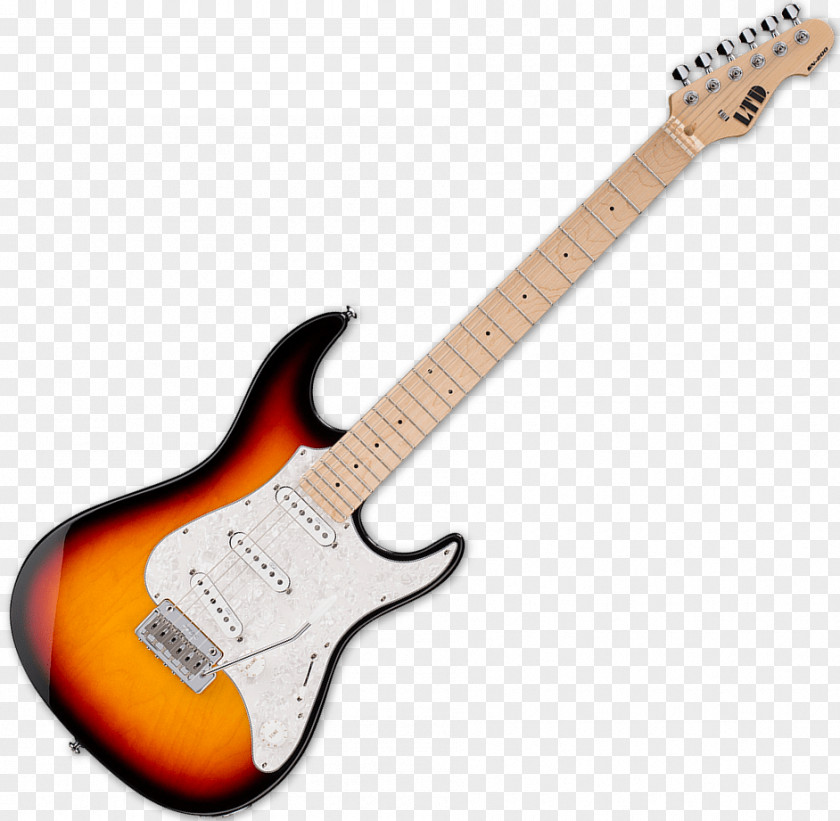 Ltd. Fender Stratocaster Telecaster Deluxe Thinline Starcaster PNG