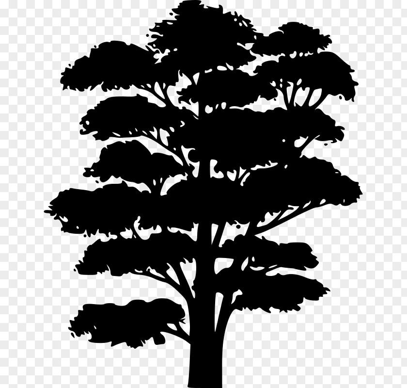 Silhouette Tree Arecaceae Clip Art PNG