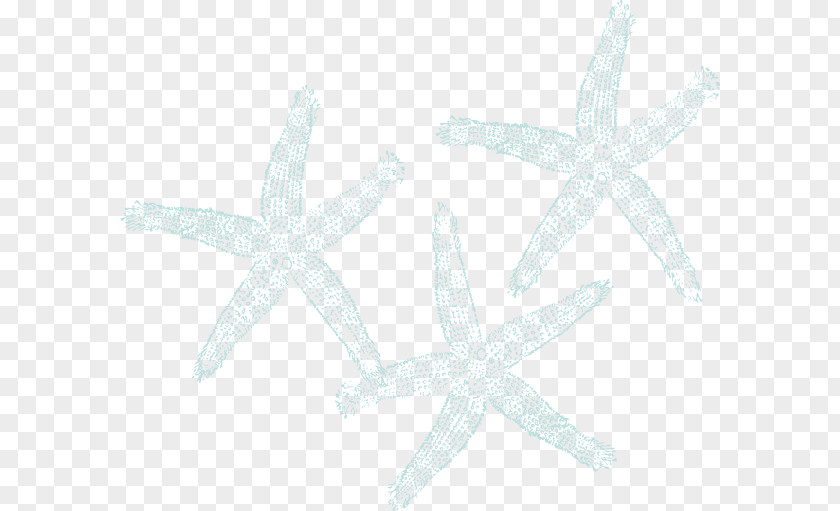 Waterfalls Vector Marine Invertebrates Starfish Echinoderm PNG