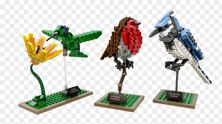 Blog Bird Lego Ideas LEGO Friends Amazon.com PNG