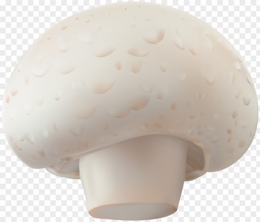 Champignon Mushroom Transparent Clip Art Image P.N.03 Common PNG
