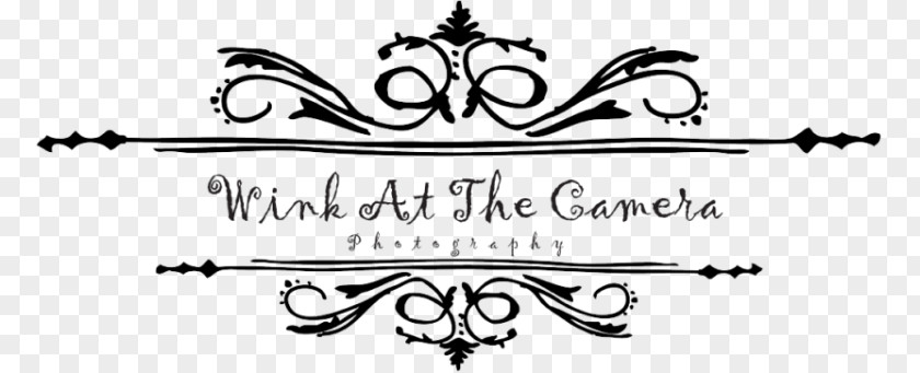 Design Logo Photography Black And White PNG