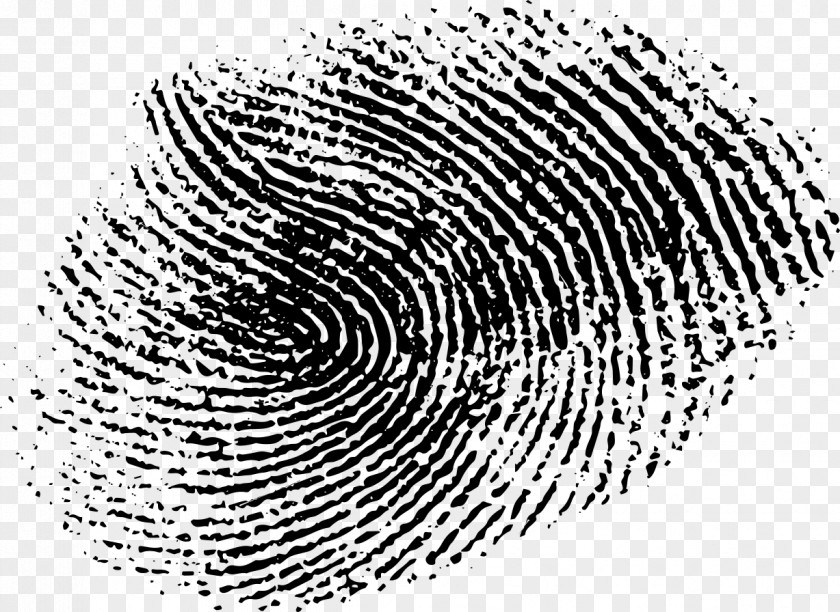 Fingerprint Line Art Drawing Clip PNG