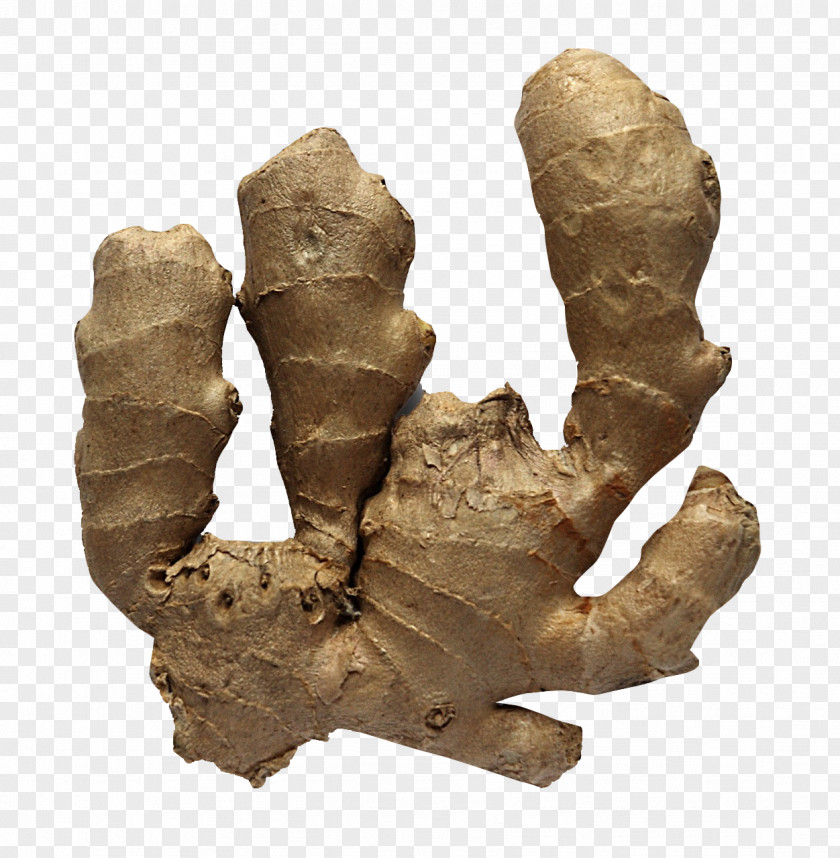 Ginger Health Diet Disease Weight Loss Drink PNG