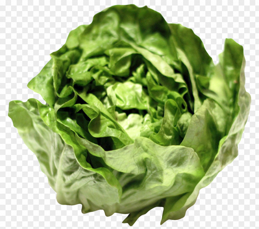 Lettuce Hamilton Theft Police Officer PNG
