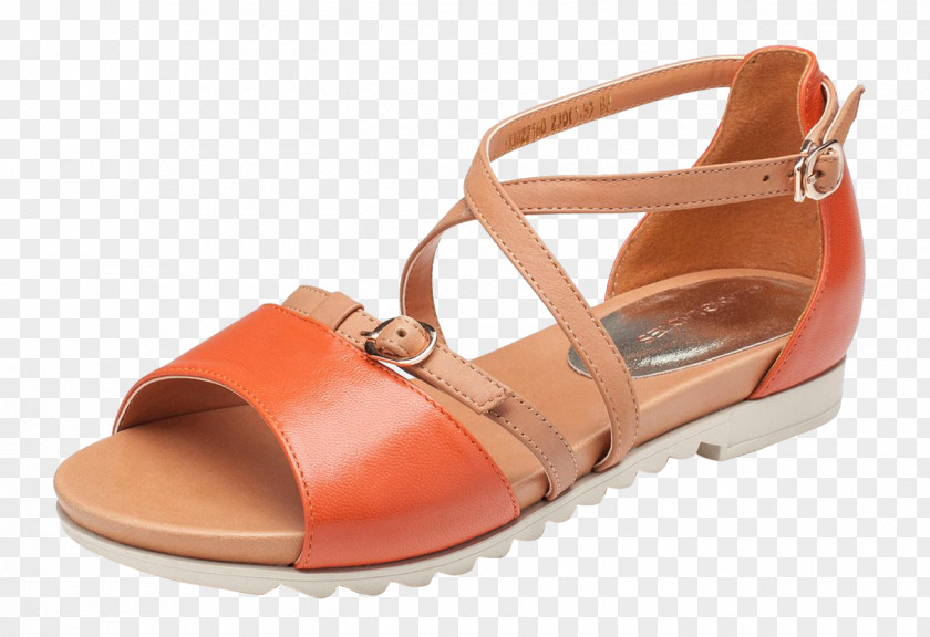 Orange Sandals Sandal Shoe Designer PNG