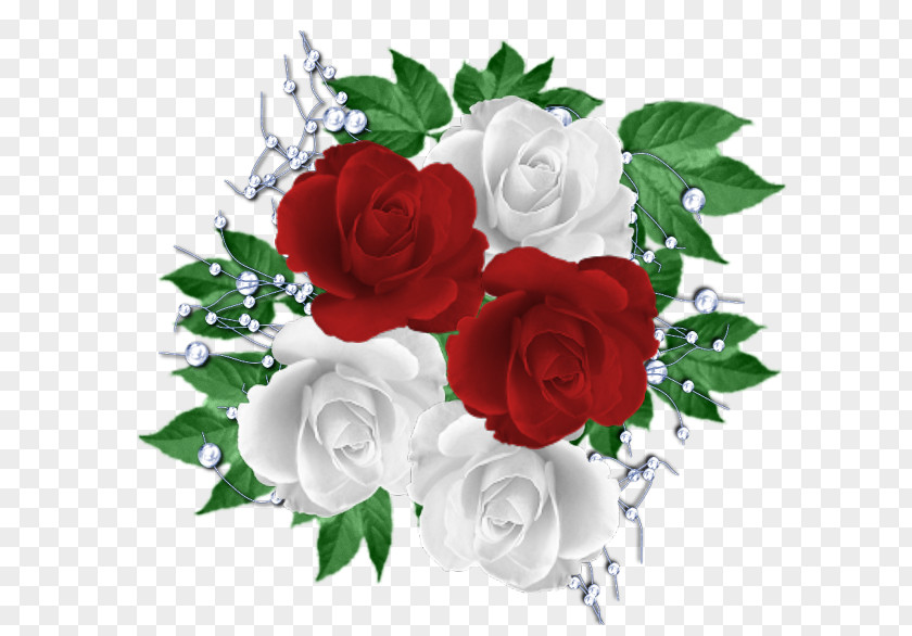 Rose Garden Roses White Red Floribunda PNG