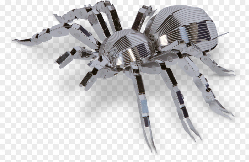 Spider Tarantula Metal Earth Arthropod PNG