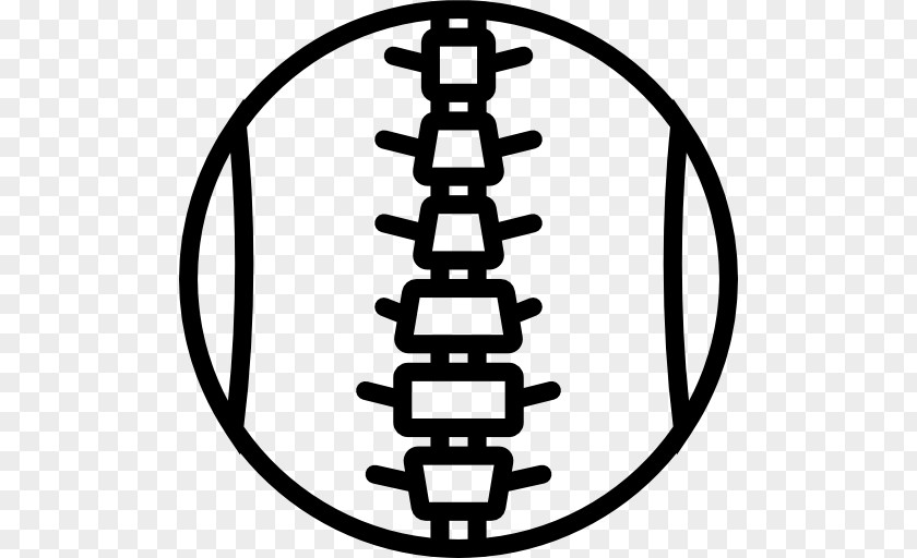 Vertebral Clip Art PNG