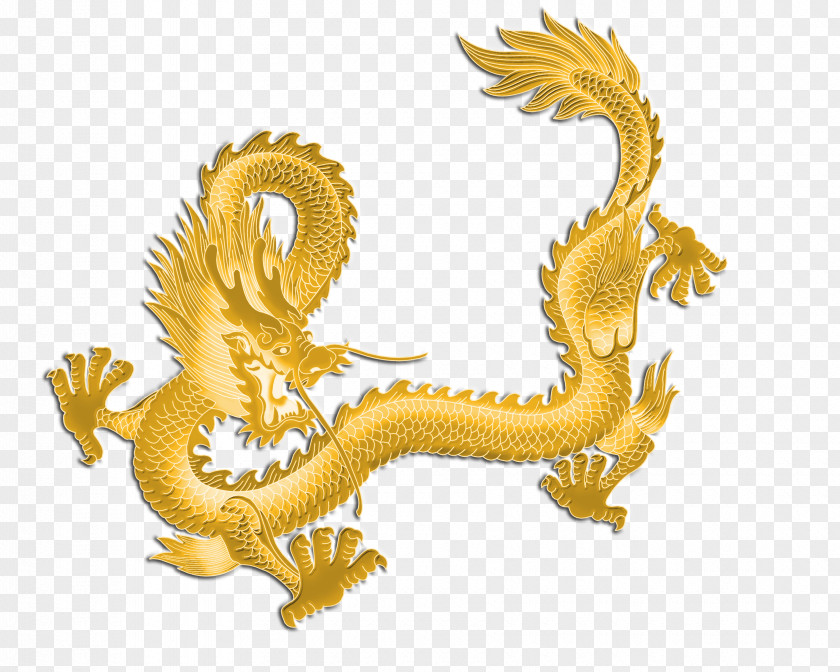 Dragon China Chinese New Year Art PNG
