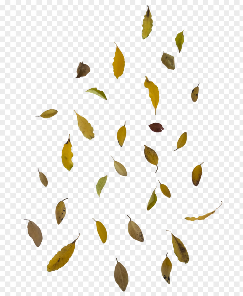 Falling Autumn Leaf Color Clip Art PNG