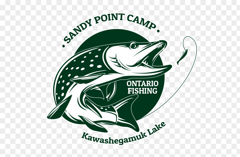 Fishing Northern Pike Sandy Point Camp Hunting Walleye PNG