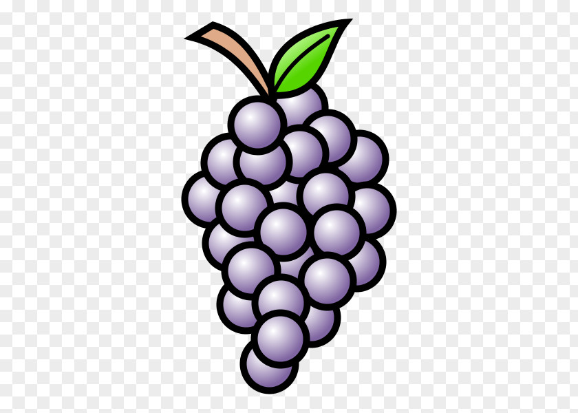 Grape Grapevines Drawing Must PNG