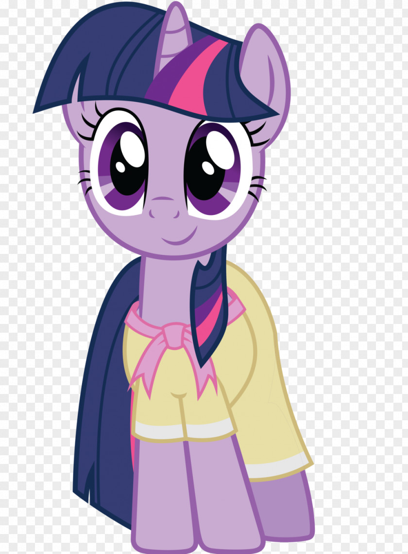 Her Twilight Sparkle Rainbow Dash Pony Pinkie Pie Rarity PNG